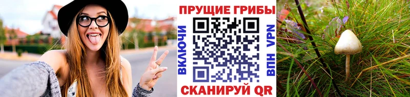 Галлюциногенные грибы мицелий  Купить  Давлеканово 